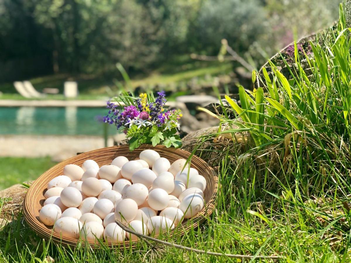 La Cerreta - Terme Di Sassetta Villa Kültér fotó